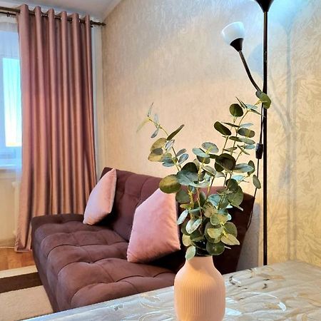 Apartment На Стрелке С Красивым Видом На Иртыш Ustʼ-Kamenogorsk Exteriér fotografie