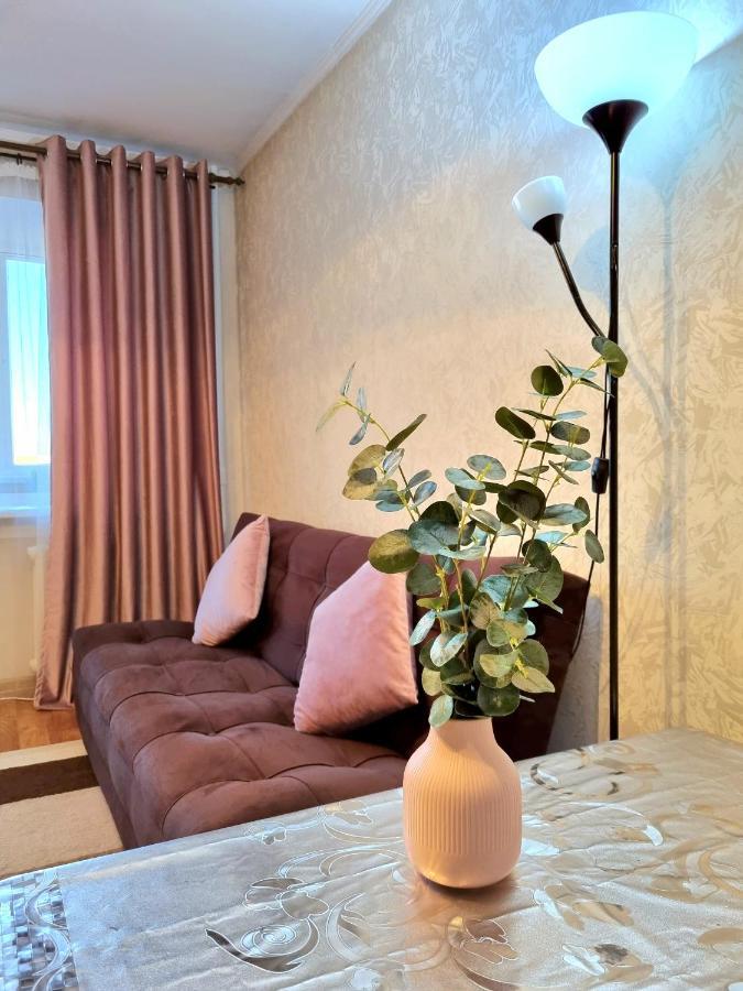 Apartment На Стрелке С Красивым Видом На Иртыш Ustʼ-Kamenogorsk Exteriér fotografie
